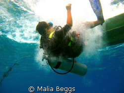 My dive buddy dropping in to meet me.  I used my Canon A6... by Malia Beggs 